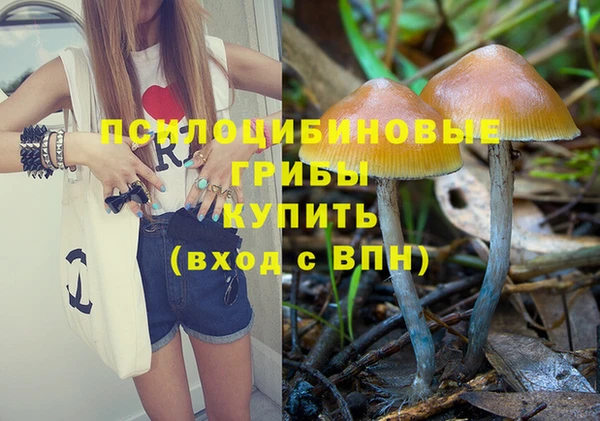 мдпв Семикаракорск